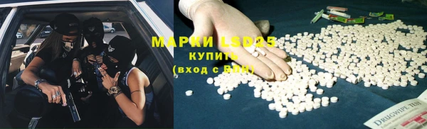 ПСИЛОЦИБИНОВЫЕ ГРИБЫ Баксан