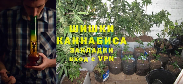 PSILOCYBIN Слюдянка