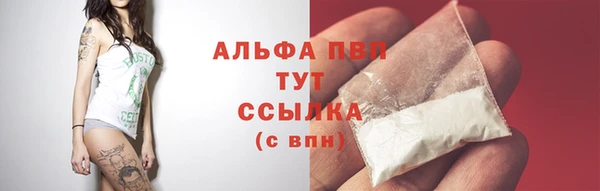 винт Балахна