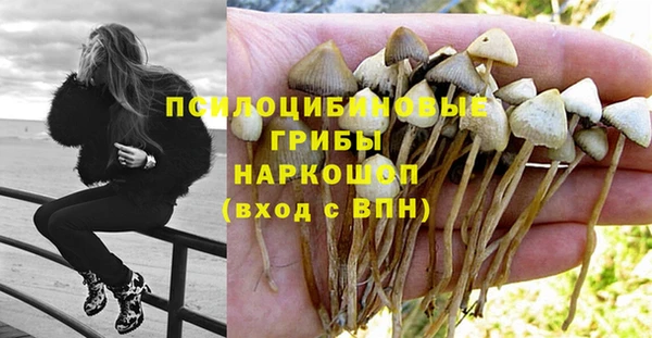 винт Балахна