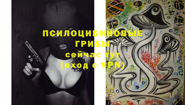 ПСИЛОЦИБИНОВЫЕ ГРИБЫ Баксан