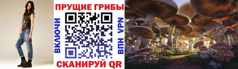 Галлюциногенные грибы ЛСД Горячий Ключ