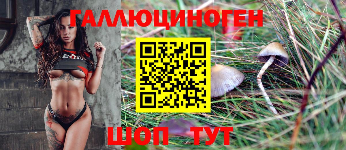 Горячий Ключ  Галлюциногенные грибы мухоморы  Вход с VPN  Галлюциногенные грибы Psilocybine cubensis 