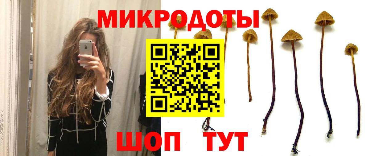 Галлюциногенные грибы GOLDEN TEACHER Горячий Ключ