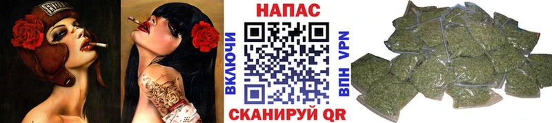Бошки Шишки марихуана  цены наркотик  Горячий Ключ 